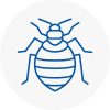 Bed Bug Extermination In Axminster