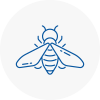 Bee Nest Removal Axminster