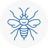 Axminster Hornet Nest Removals