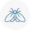 Moth Control Specialists In Axminster
