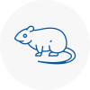 Rat Control Axminster