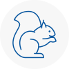 Axminster Rodent Removals